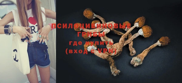 тгк Ладушкин
