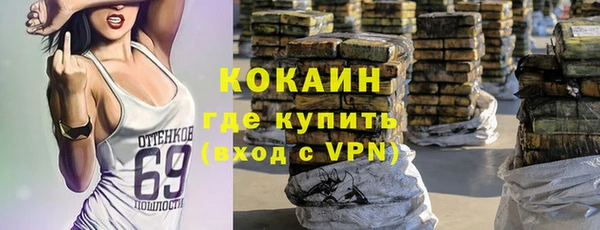 тгк Ладушкин