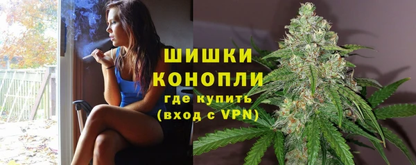 тгк Ладушкин
