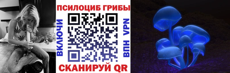 Купить закладки  Горячеводский  Псилоцибиновые грибы Psilocybine cubensis 